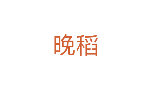 晚稻