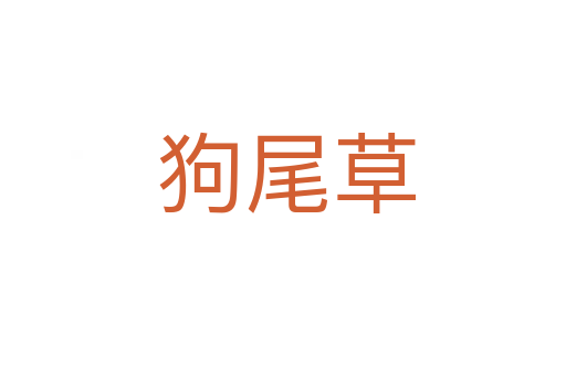 狗尾草