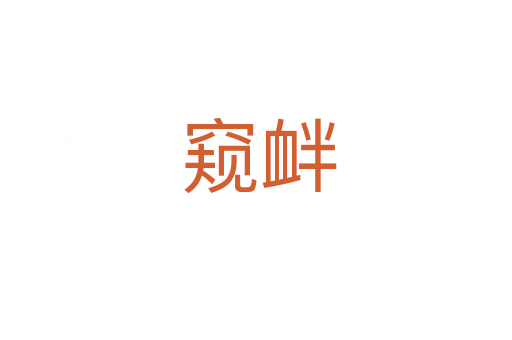 窥衅