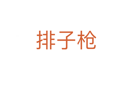 排子枪