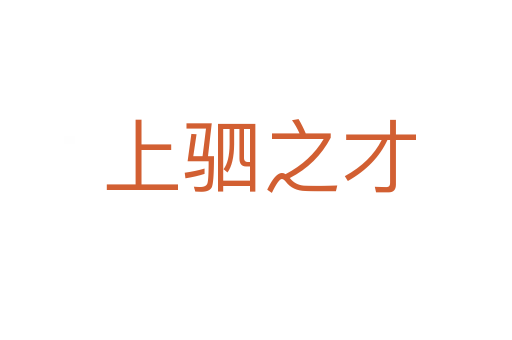 上驷之才