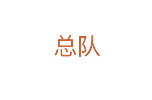 总队