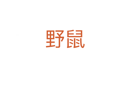 野鼠