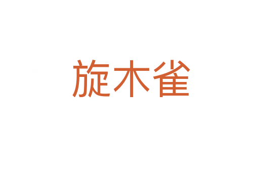 旋木雀