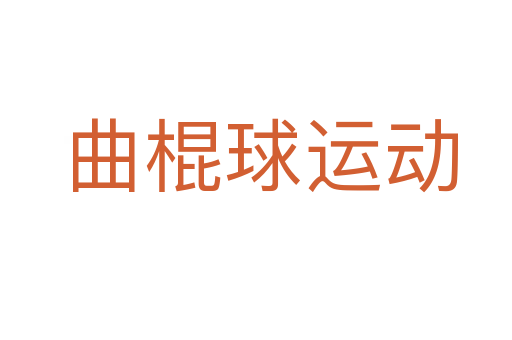 曲棍球运动