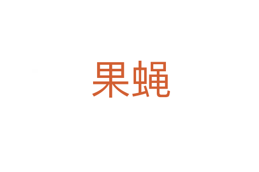 果蝇