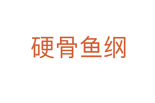 硬骨鱼纲
