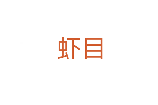 虾目