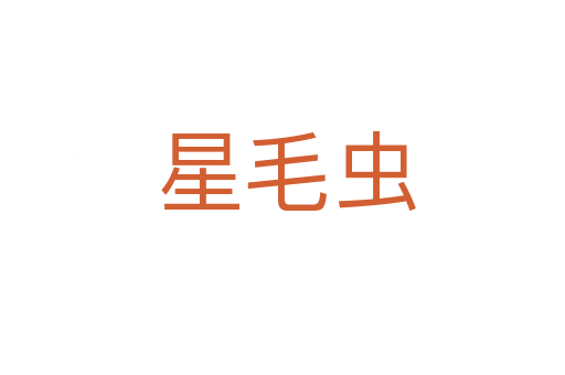星毛虫