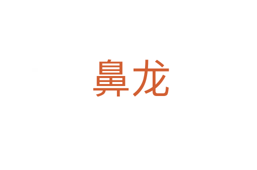 鼻龙