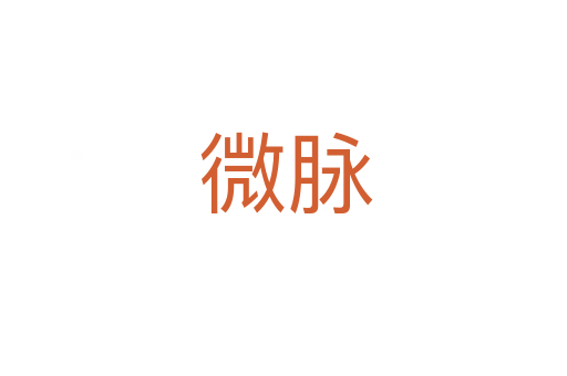 微脉