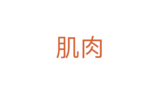 肌肉