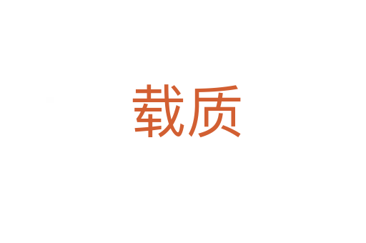 载质