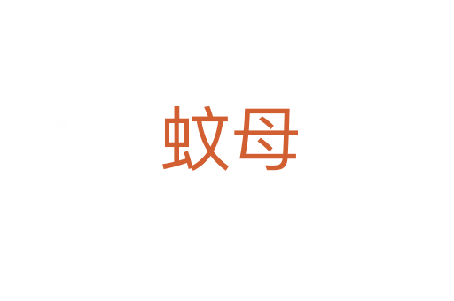 蚊母
