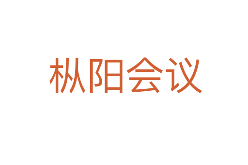 枞阳会议