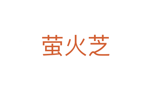 萤火芝