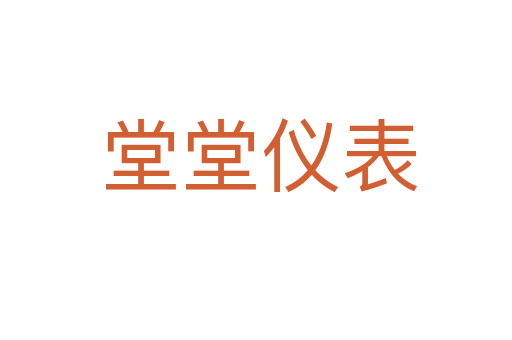堂堂仪表