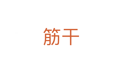 筋干