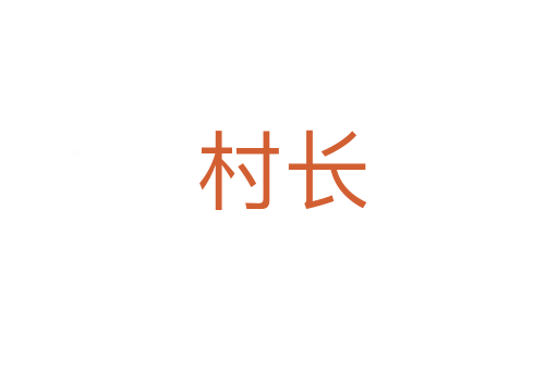 村长