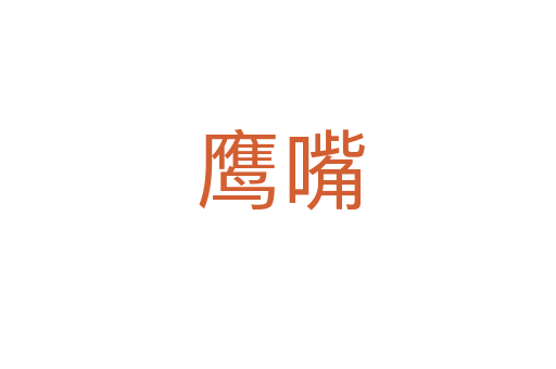 鹰嘴