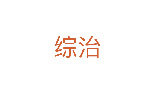 综治
