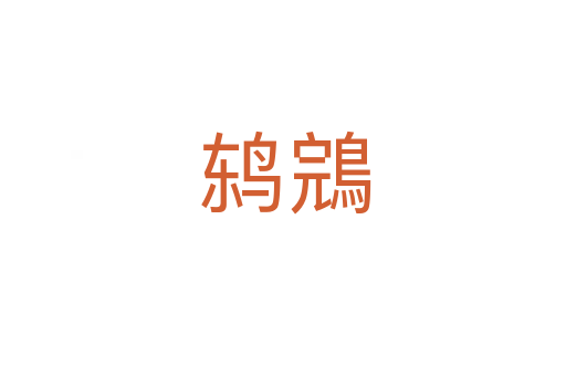 鸫鵍