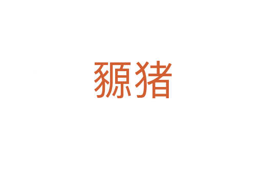 豲猪