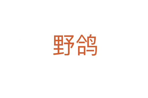 野鸽