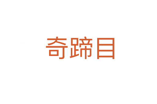 奇蹄目