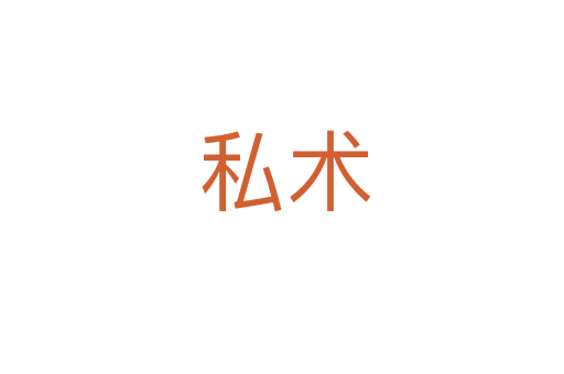 私术
