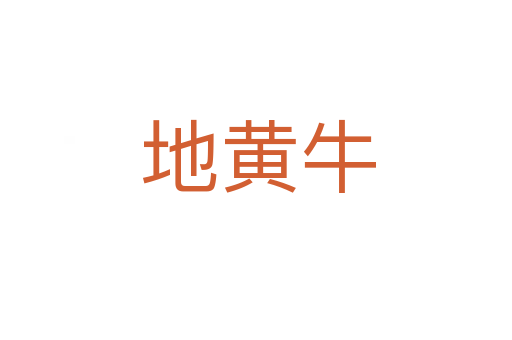 地黄牛