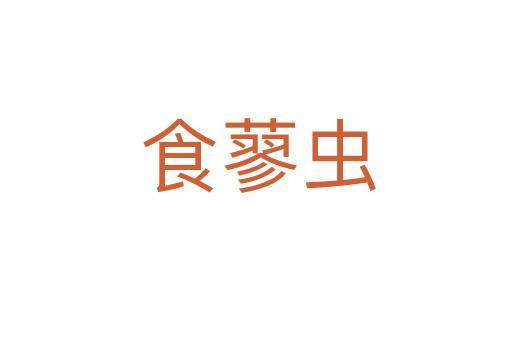 食蓼虫