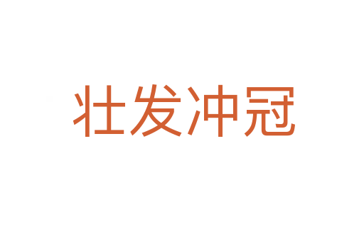 壮发冲冠