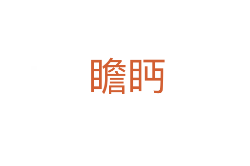 瞻眄
