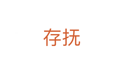 存抚