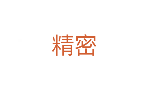 精密