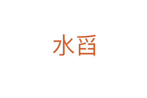 水舀