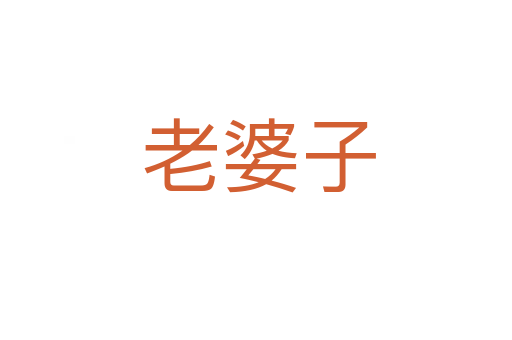 老婆子