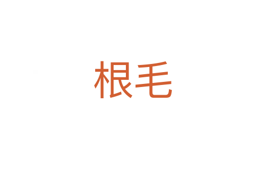 根毛