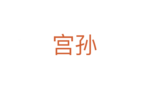 宫孙
