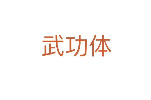 武功体