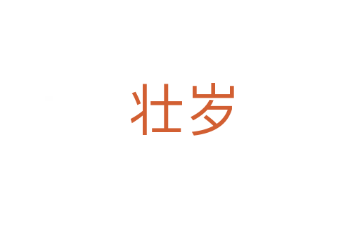壮岁