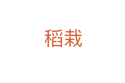 稻栽