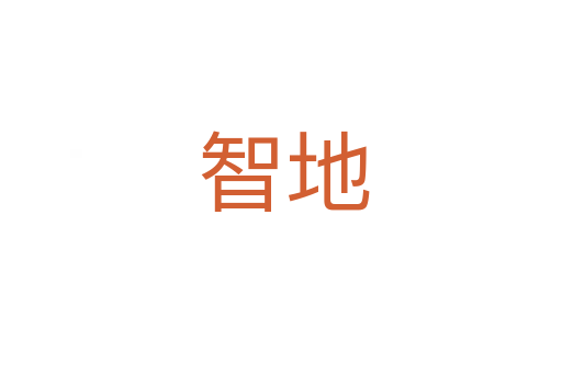 智地