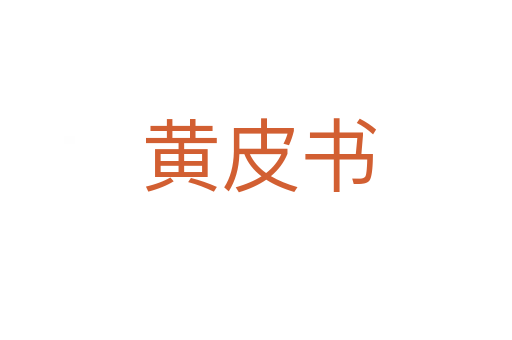 黄皮书