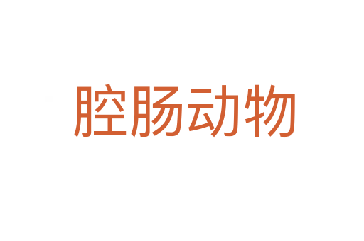 腔肠动物