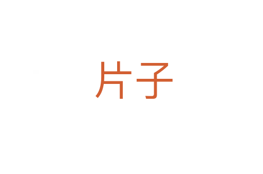 片子