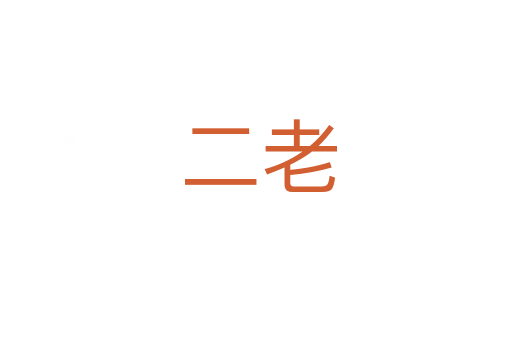二老