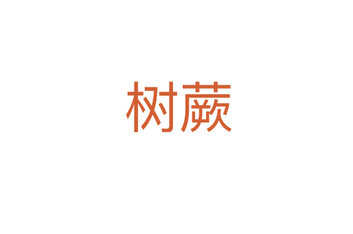树蕨