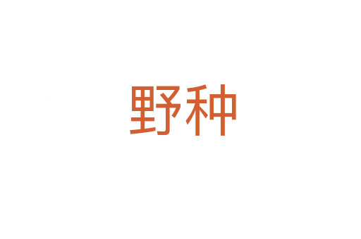 野种